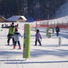 Элементы тренировочные